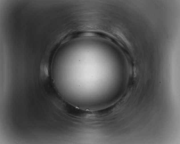 X0000089340068200706151051