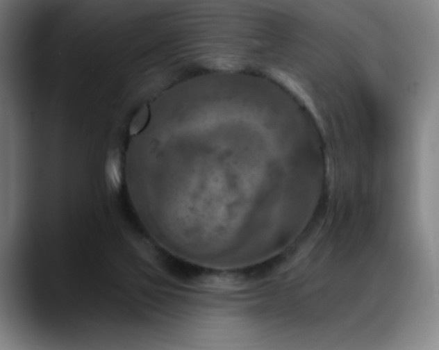 X0000089340069200706151051