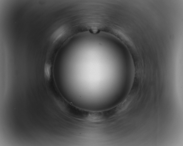 X0000089340070200706151051