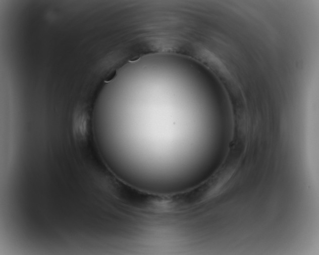 X0000089340071200706151051