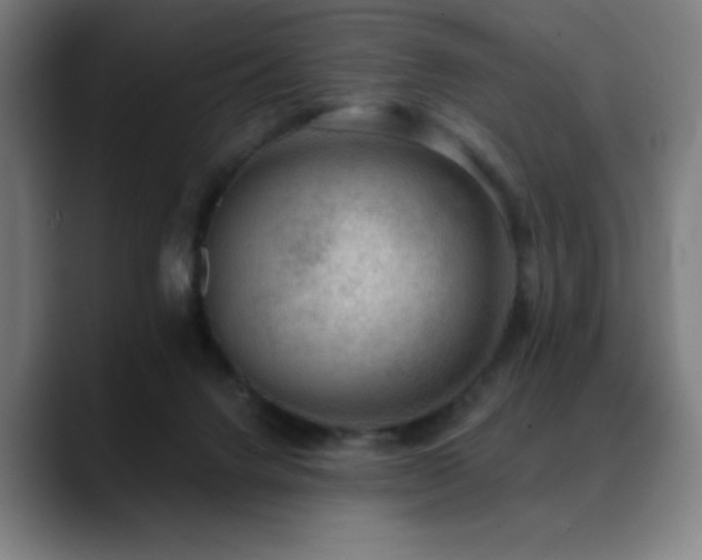 X0000089340072200706151051