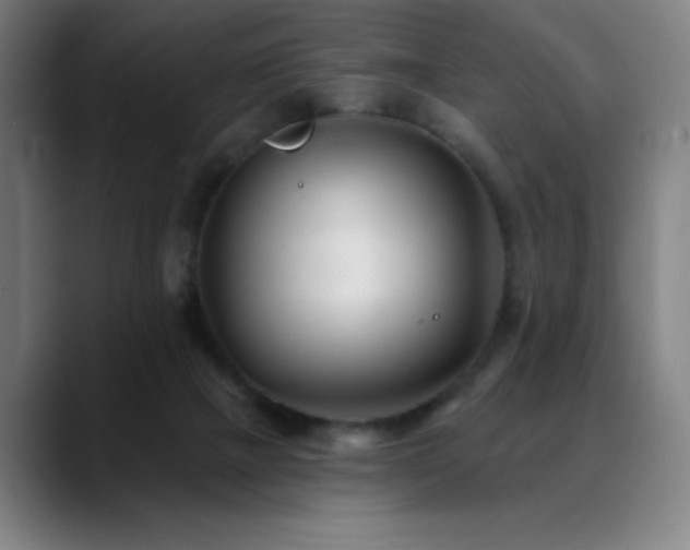 X0000089340073200706151051