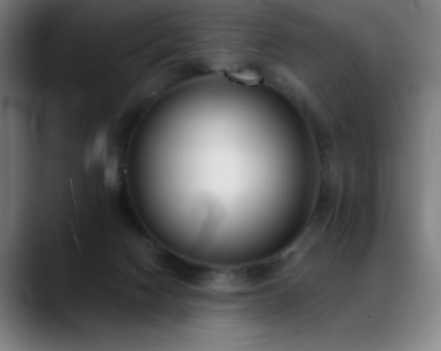X0000089340074200706151051