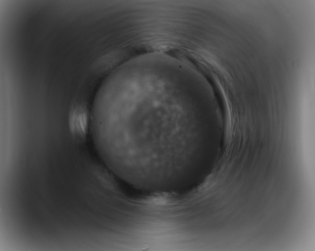 X0000089340076200706151051