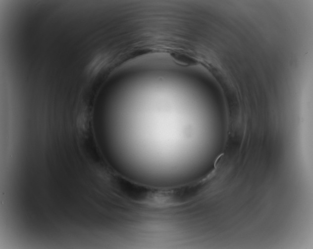 X0000089340078200706151051