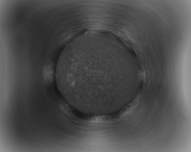 X0000089340080200706151051