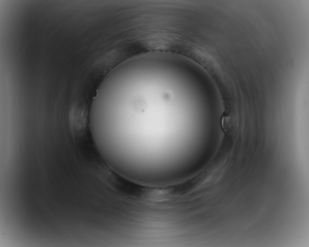 X0000089340081200706151051