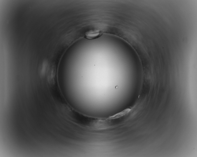 X0000089340082200706151051