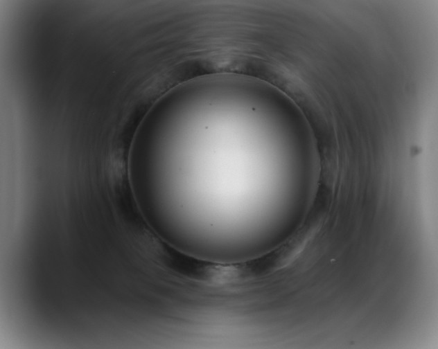 X0000089340085200706151051