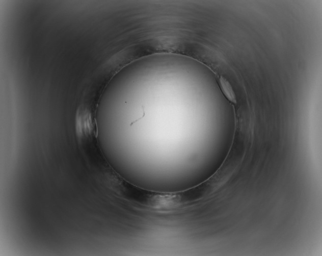 X0000089340089200706151051