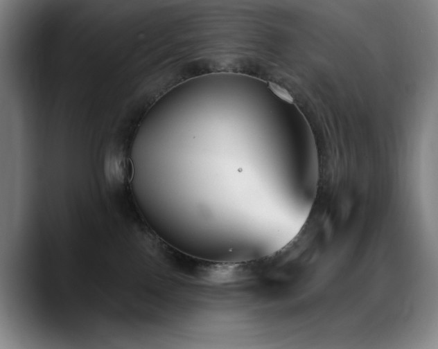 X0000089340090200706151051