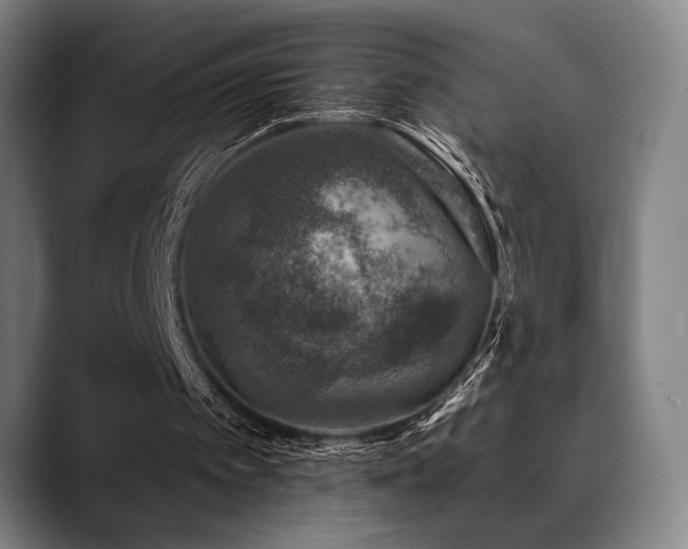 X0000089340097200706151050