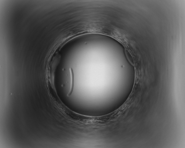 X0000089340098200706151050