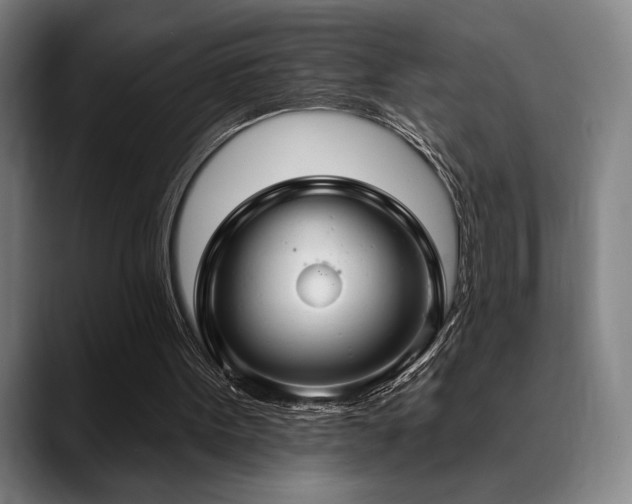 X0000089340099200706151050