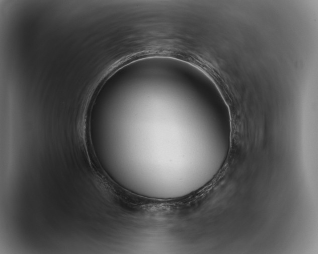 X0000089340100200706151050