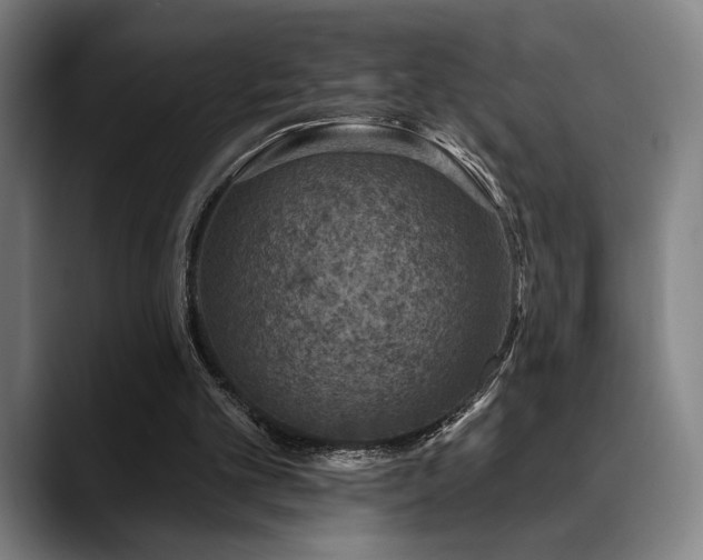 X0000089340101200706151050