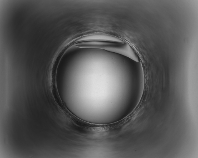 X0000089340102200706151050