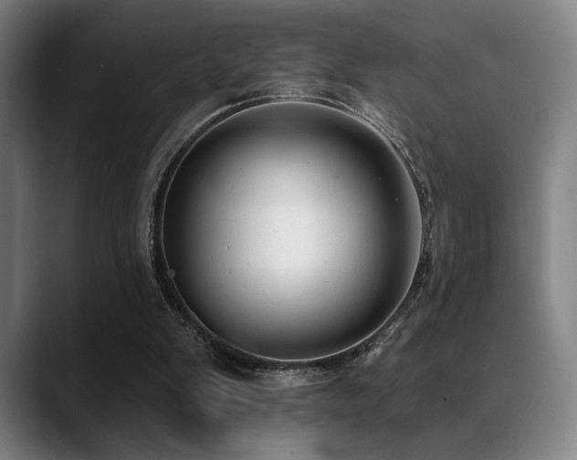 X0000089340103200706151050