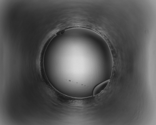 X0000089340104200706151050