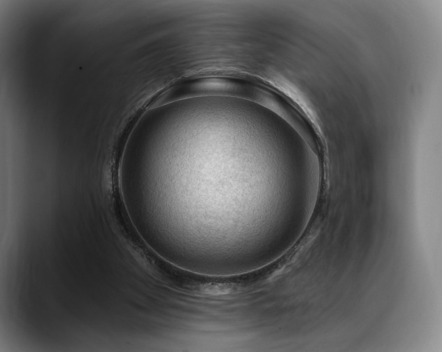 X0000089340105200706151050