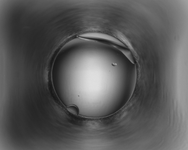 X0000089340106200706151050