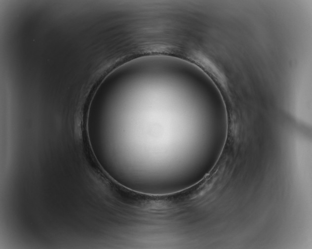 X0000089340107200706151050