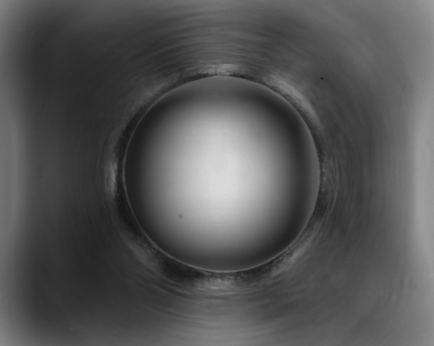 X0000089340110200706151050