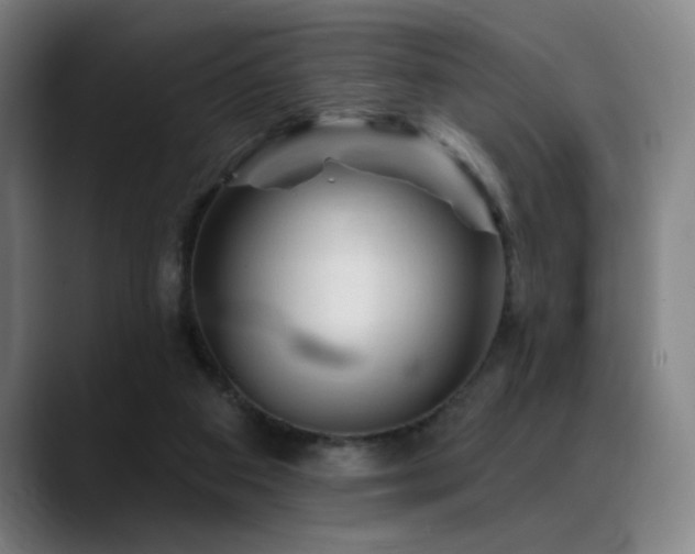 X0000089340113200706151050