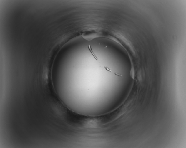 X0000089340115200706151050