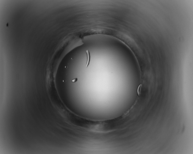 X0000089340116200706151050