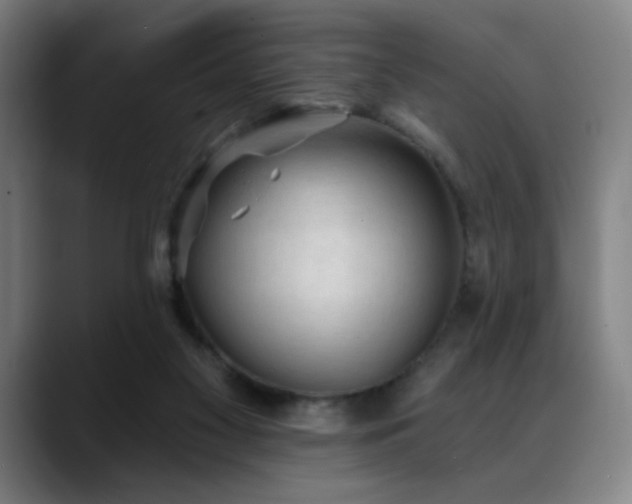 X0000089340117200706151050