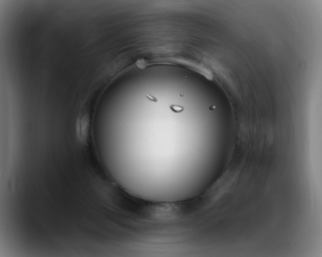 X0000089340118200706151050