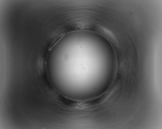 X0000089340121200706151050