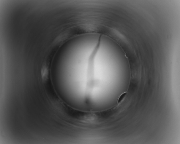 X0000089340124200706151050