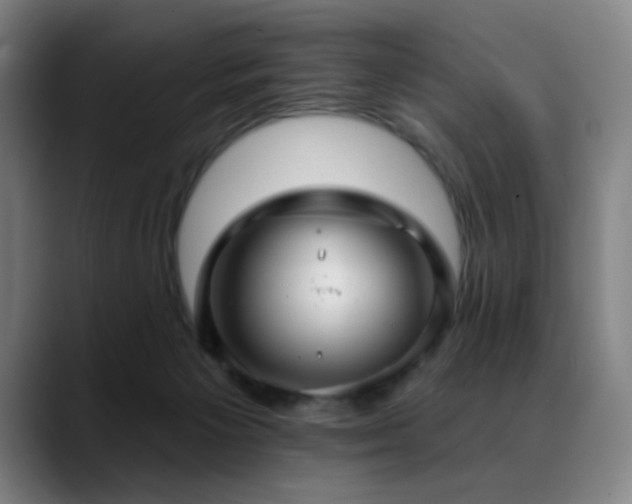 X0000089340125200706151050