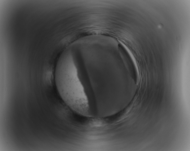 X0000089340127200706151050