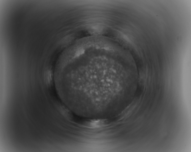 X0000089340130200706151050