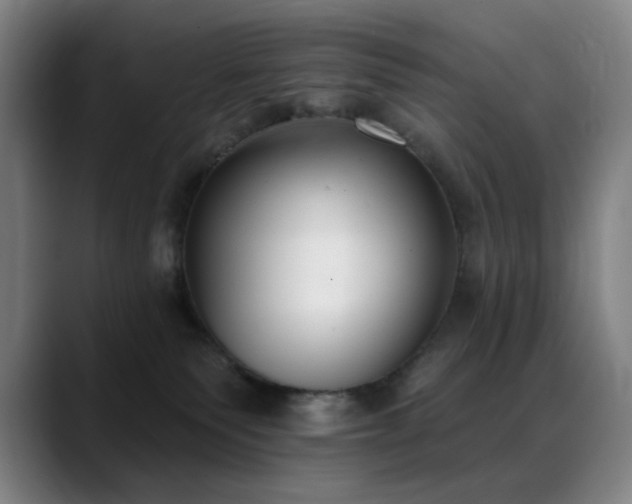 X0000089340135200706151050