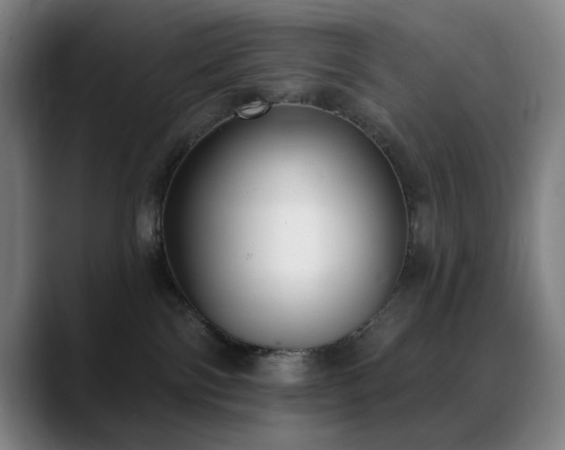 X0000089340138200706151050