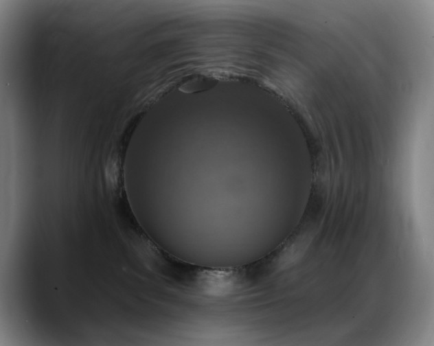 X0000089340139200706151050