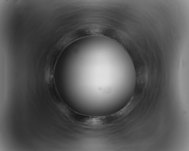 X0000089340140200706151050
