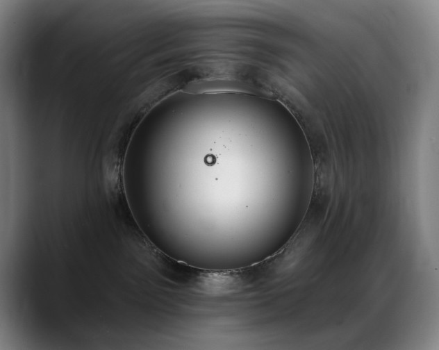 X0000089340141200706151050