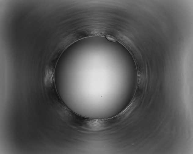 X0000089340142200706151050