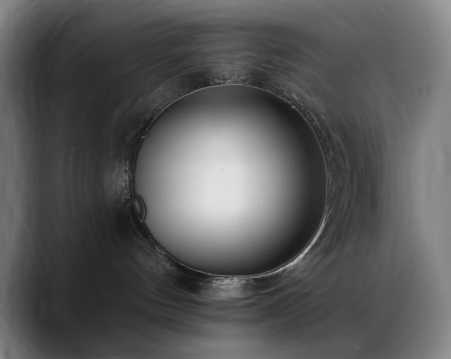 X0000089340144200706151050