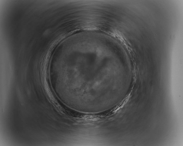 X0000089340145200706151049