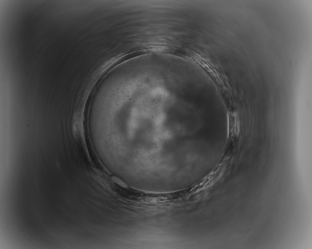 X0000089340147200706151049