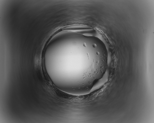 X0000089340148200706151049