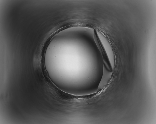 X0000089340150200706151049