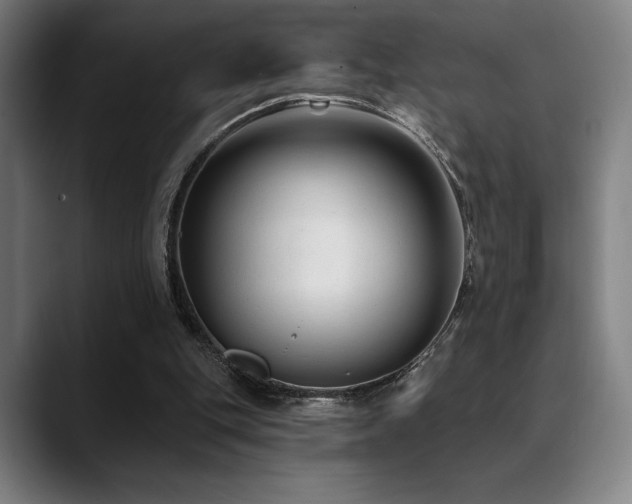 X0000089340151200706151049