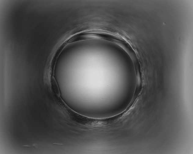 X0000089340152200706151049